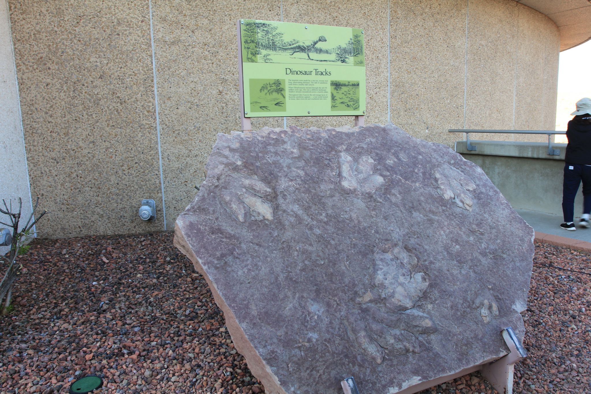 IMG 2697   Copie (2)